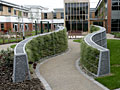 Flowing Walls